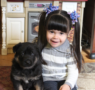 Azog z Glaurung german shepherd with Mary